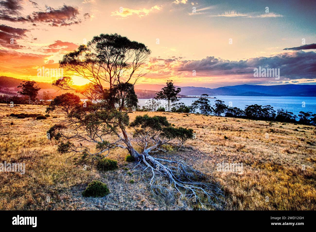 Sonnenuntergang in Tasmanien Stockfoto