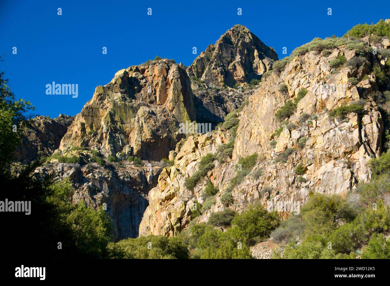 Kings Canyon, Könige Wild and Scenic River, Kings Canyon National Scenic Byway, Sequoia National Monument, Kalifornien Stockfoto