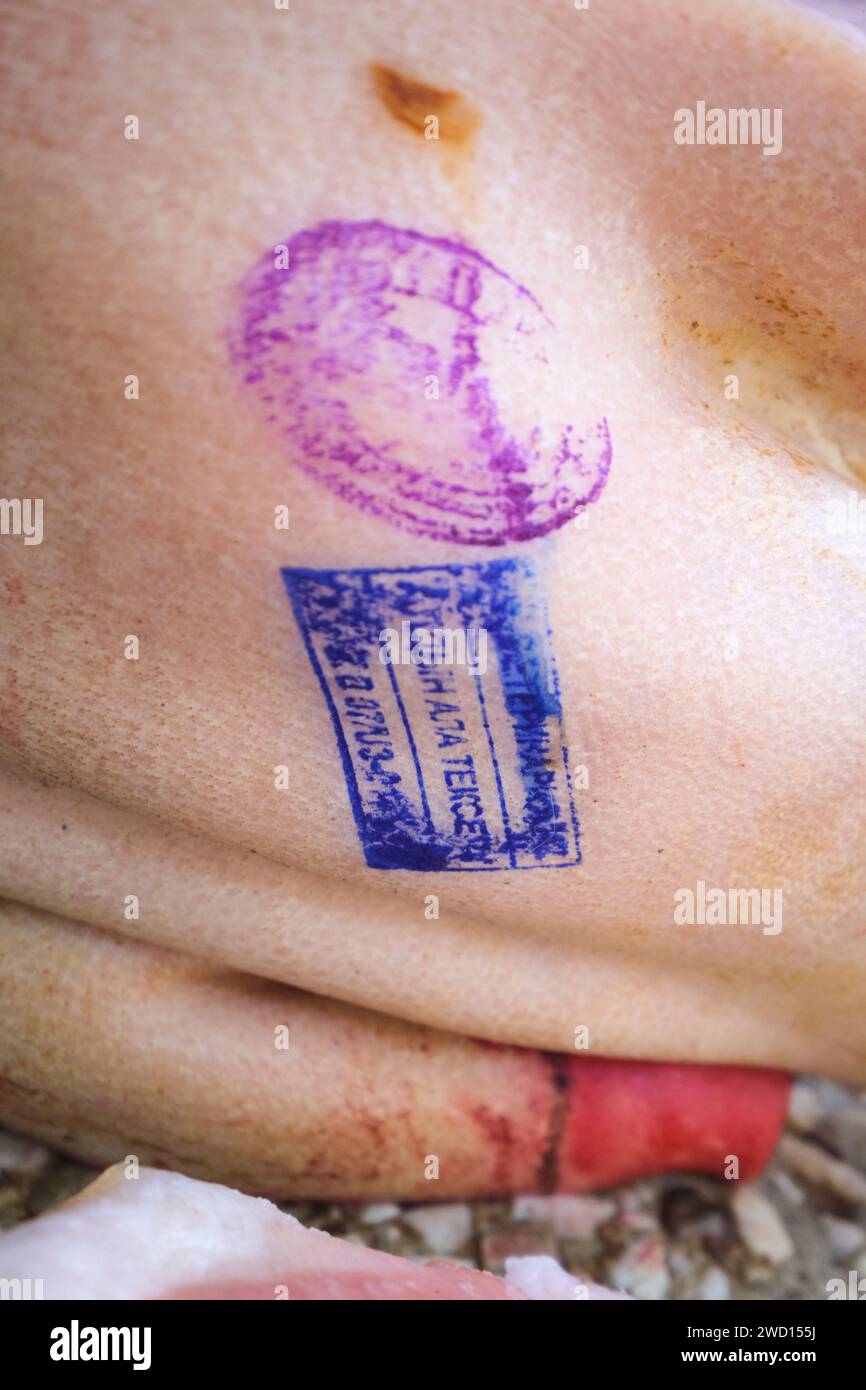 In der Fleischabteilung ein Detail der Kontrollstempel auf der Haut von Fleisch. Auf dem wichtigsten lokalen Lebensmittelmarkt der sowjetischen Zeit, dem Grünen Basar. Stockfoto