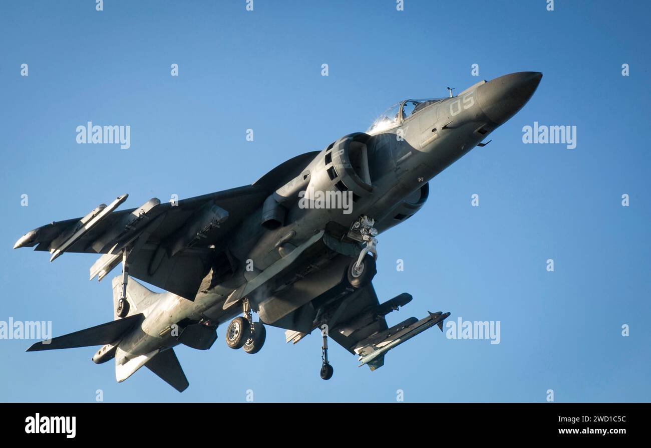 Ein AV-8B Harrier Short Take-off-Vertikallandungsflugzeug bereitet sich auf die Landung vor. Stockfoto