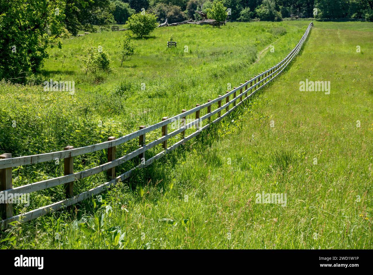 Langer, gerader, hölzerner Pfosten- und Eisenbahnzaun über ein Feld mit grünem Gras mit Waldbäumen dahinter, Derbyshire, England, Großbritannien Stockfoto