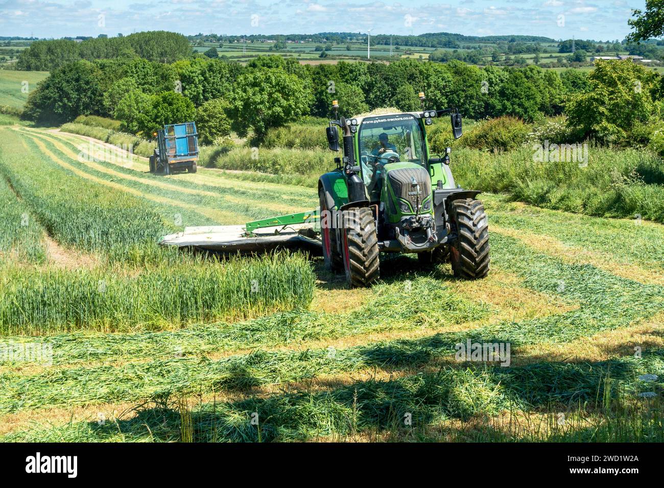 Landwirtschaftliche Traktoren Mähen, Schneiden und Sammeln von grünem Erntegut für Silage oder Futter in landwirtschaftlichen Betrieben, die an trockenen sonnigen Tagen im Juni in Leicestershire, England, Großbritannien abgelegt werden Stockfoto