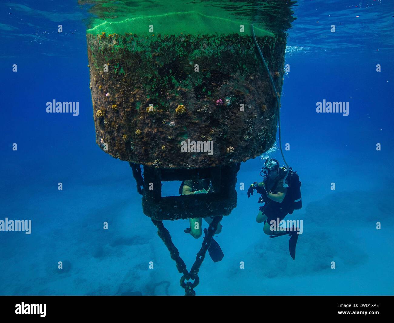 Taucher der US Navy inspizieren eine Boje im Tinian Harbor, Commonwealth der Nördlichen Marianen. Stockfoto