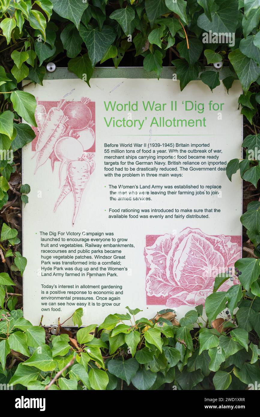 Informationstafel über die Kampagne „Dig for Victory“ aus dem Zweiten Weltkrieg im Garten des Museums von Farnham, Surrey, England, Großbritannien Stockfoto