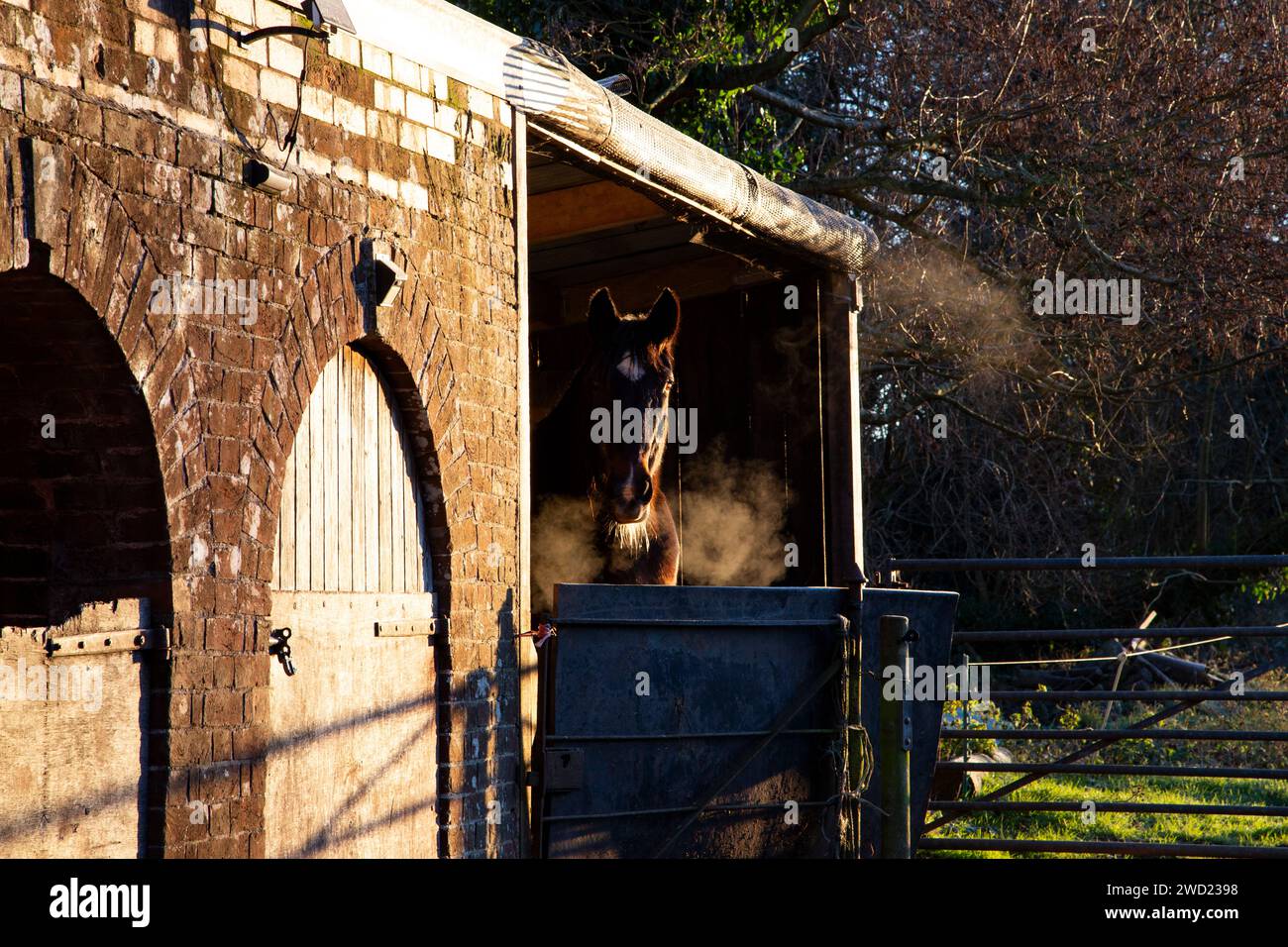 Sonnenaufgang am frühen Morgen im ländlichen Dorf Clyst St. George Devon, Großbritannien, Heilung kalter Temperaturen mit Pferden/Stallungen und Feldern.18. Januar 2024 Stockfoto