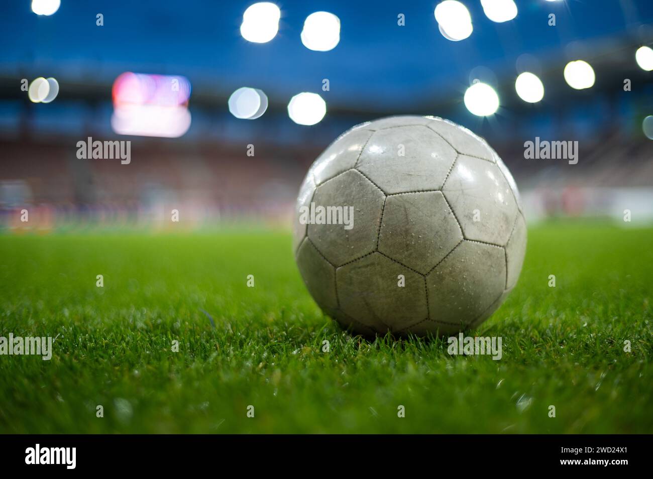 Weißer Fußball, der im Stadion auf dem Gras liegt Stockfoto