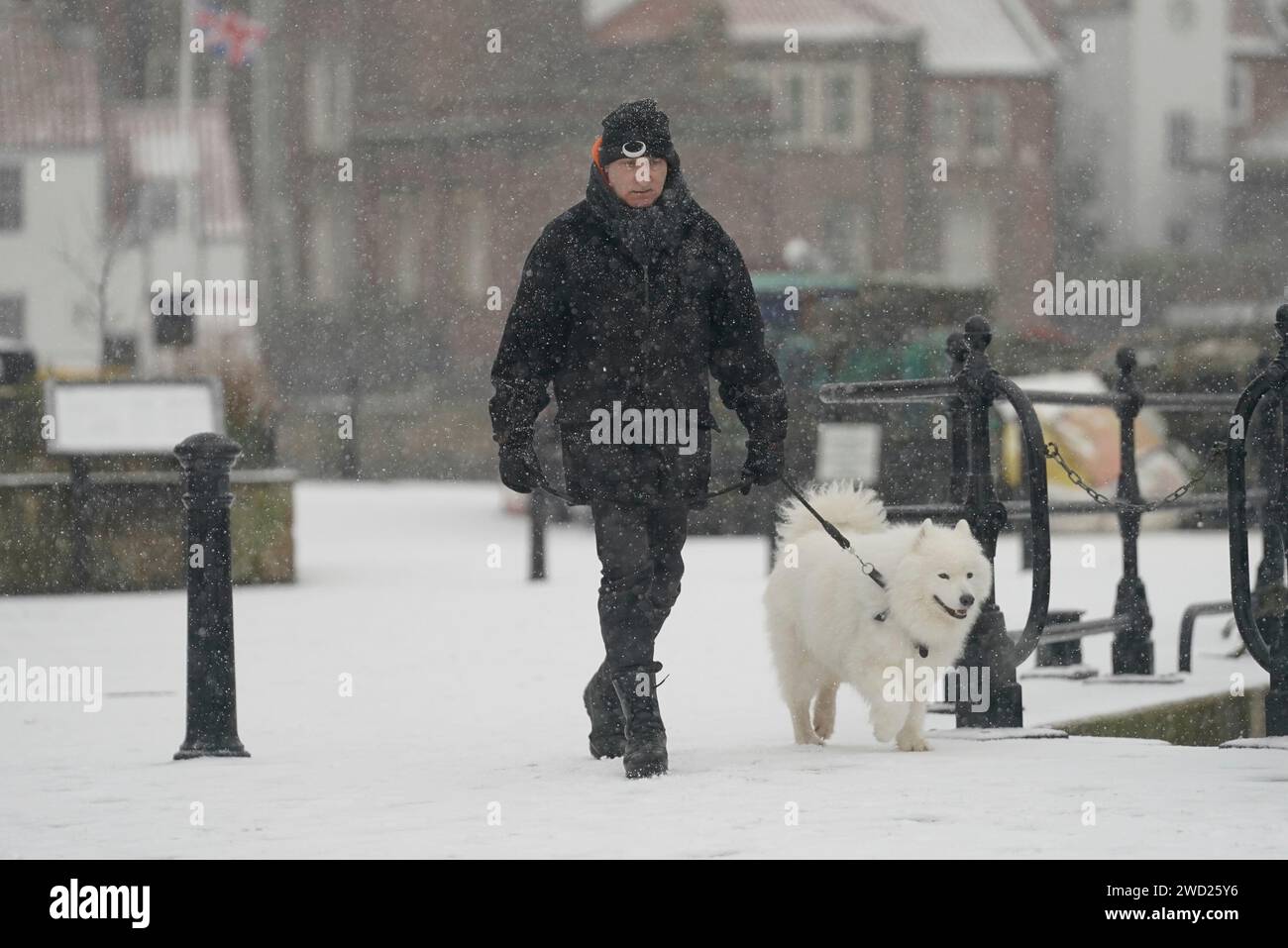 In Whitby geht man mit einem Hund im Schnee spazieren. Hunderte von Schulen sind geschlossen, einige für einen vierten Tag, da in vielen Teilen des Landes Wetterwarnungen einschließlich eines gelben Alarms bestehen bleiben. Bilddatum: Donnerstag, 18. Januar 2024. Stockfoto