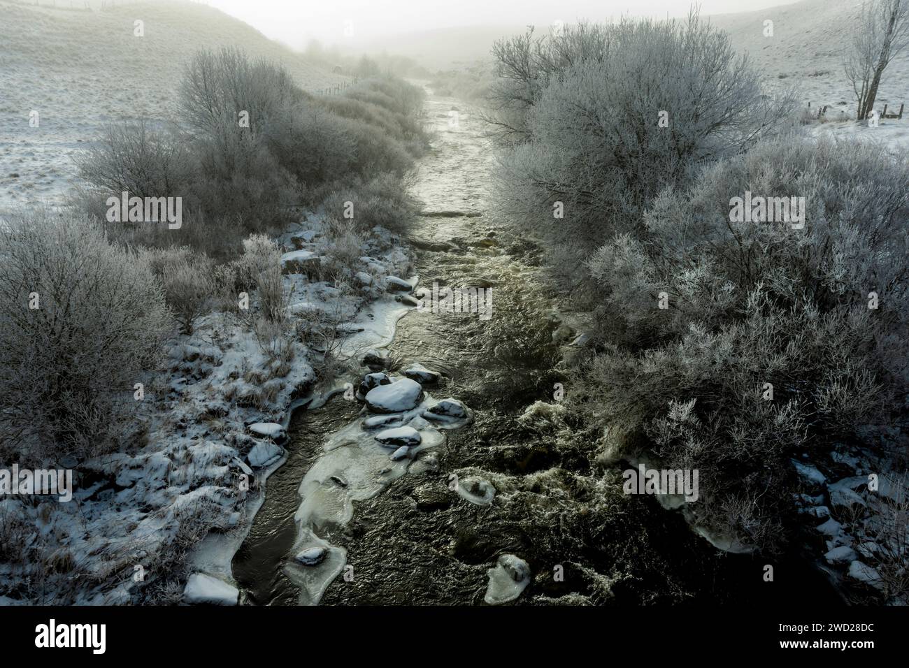 Aubrac-Plateau. Gefrorener Fluss Bès. Lozere. Occitanie. Frankreich Stockfoto