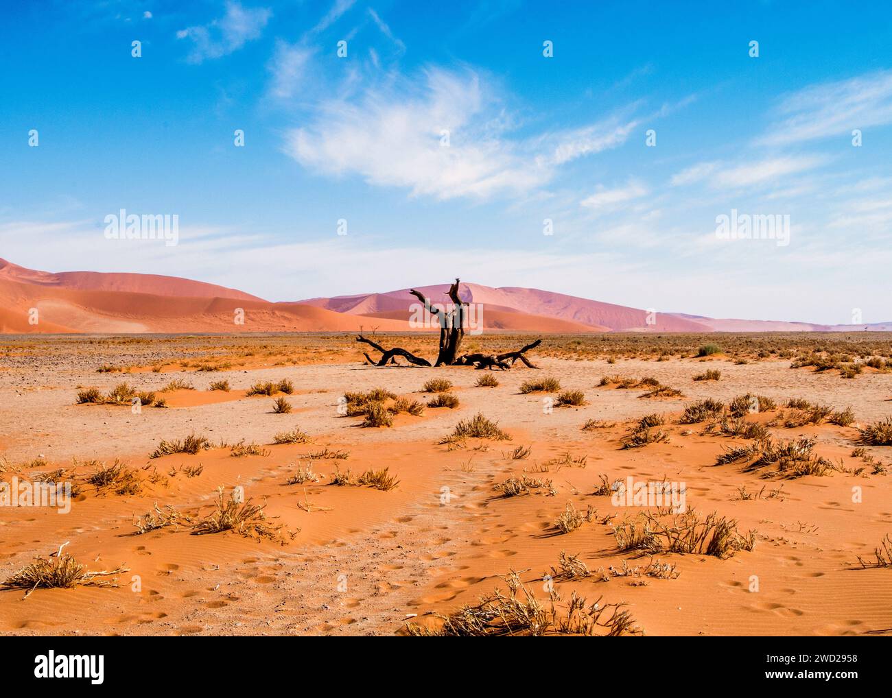 Namibia Sossusvlei Schönheit in der Natur Stockfoto