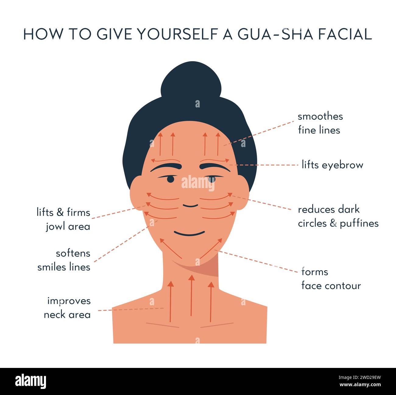 Infografik des Gua-Sha-Scraper-Gesichts-Yoga. Massagerichtung für Jadewalze. Akupunktur Anti-Aging traditionelle chinesische Medizin Selbstpflegemethode. V Stock Vektor