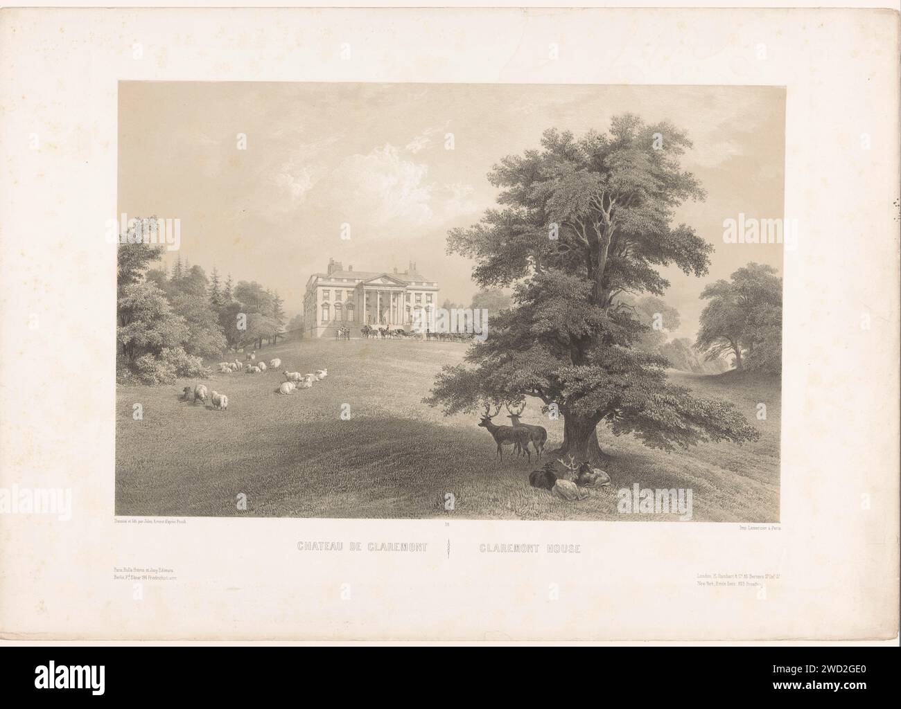 Ansicht des Claremont House aus der Landschapstuin, Louis Jules Arnout, After Fronk, 1855 - 1856 Druckerei: ParisAfter Zeichnung von: Parisprinter: Parispublisher: Parispublisher: Berlinpublisher: Londonpublisher: New York (City) Papier ländliche Wohnhäuser, z.B. Landhaus, Villa, Cottage. Englisch oder Landschaftsgarten. villa Claremont House Stockfoto