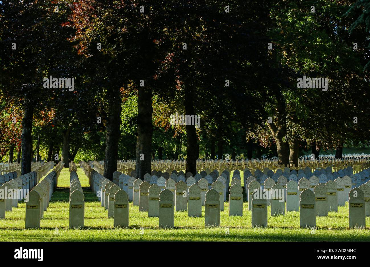 Militärfriedhof, erster und zweiter Weltkrieg, Montauville, Departement Meurthe-et-Moselle, Region Grand Est, Frankreich Stockfoto