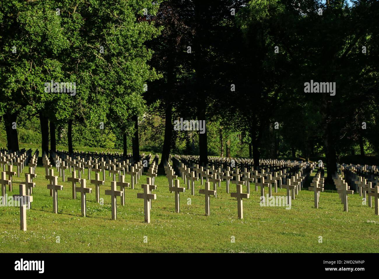 Militärfriedhof, erster und zweiter Weltkrieg, Montauville, Departement Meurthe-et-Moselle, Region Grand Est, Frankreich Stockfoto