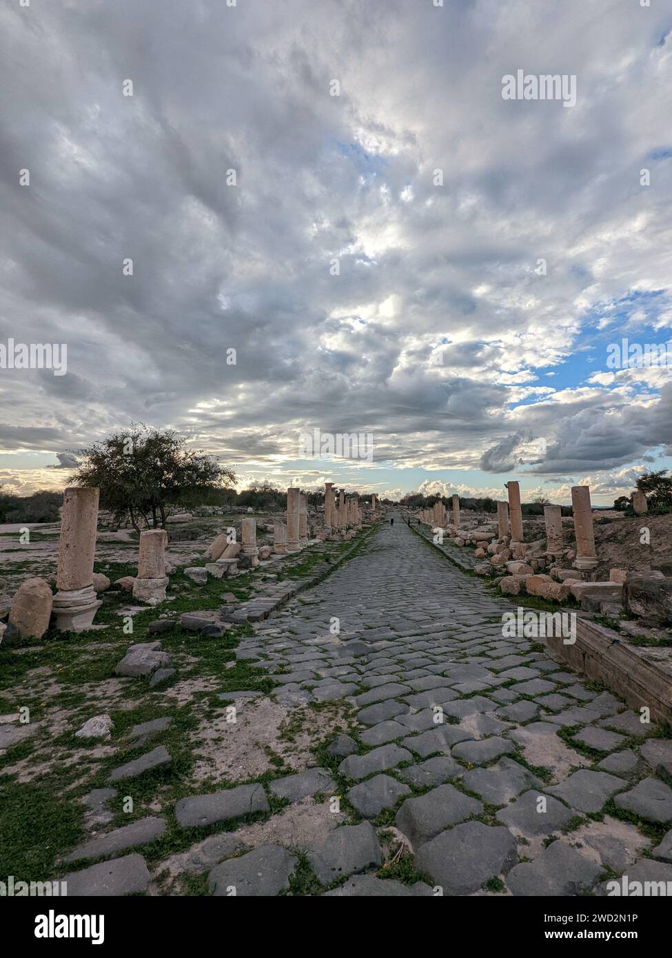 Reise nach Jordanien. Kulturelle und natürliche Seite von Umm Qais und die Ruinen des alten Gadara. Ancient Roman city.in der äußerste Nordwesten des Landes Stockfoto