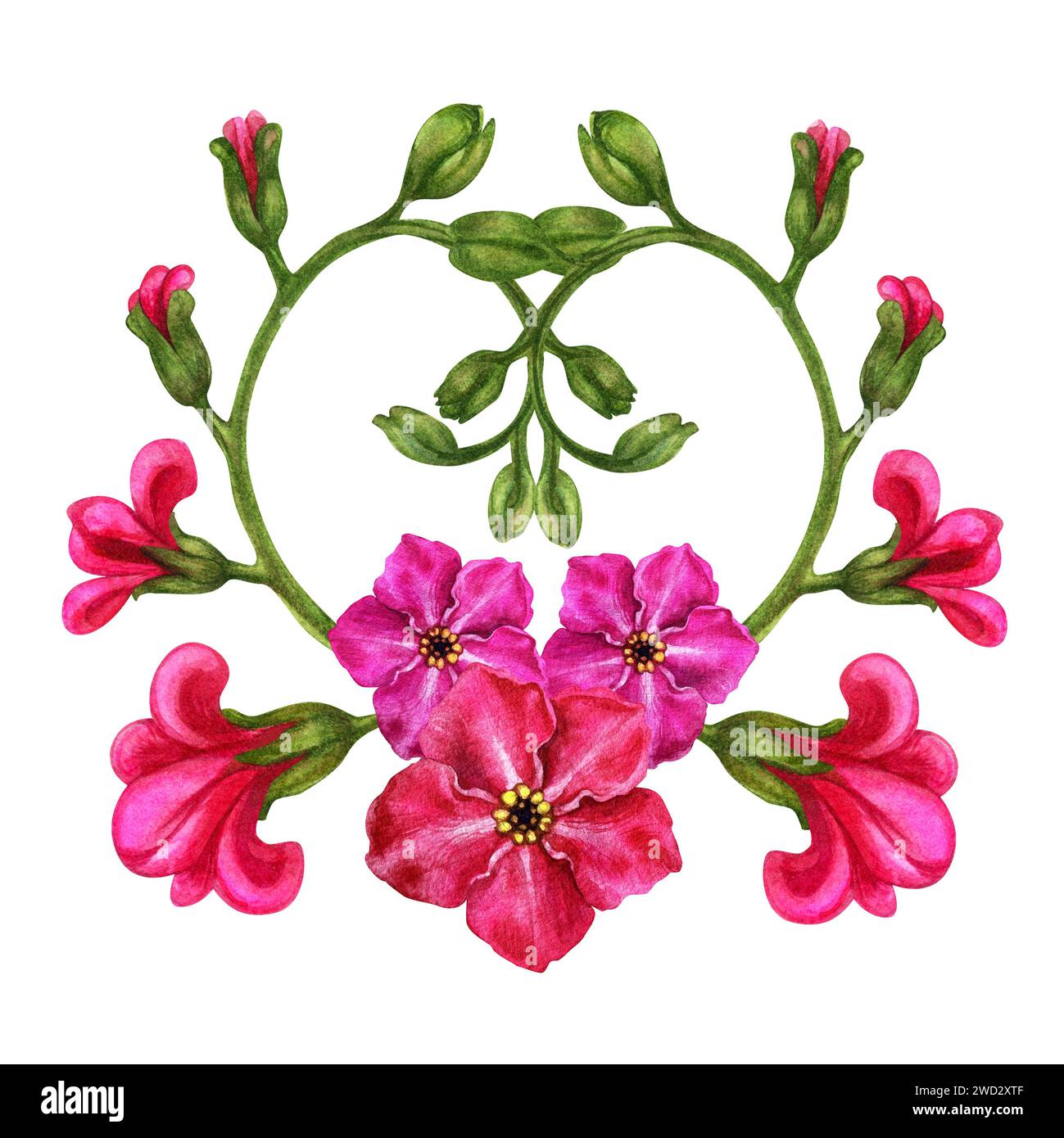 Wunderschöne Aquarellsträuße aus rosa Vergissmeinnots, hergestellt in Form von Vignetten für Ostern, Hochzeitssträuße, Muttertag, Vatertag, Valentin Stockfoto