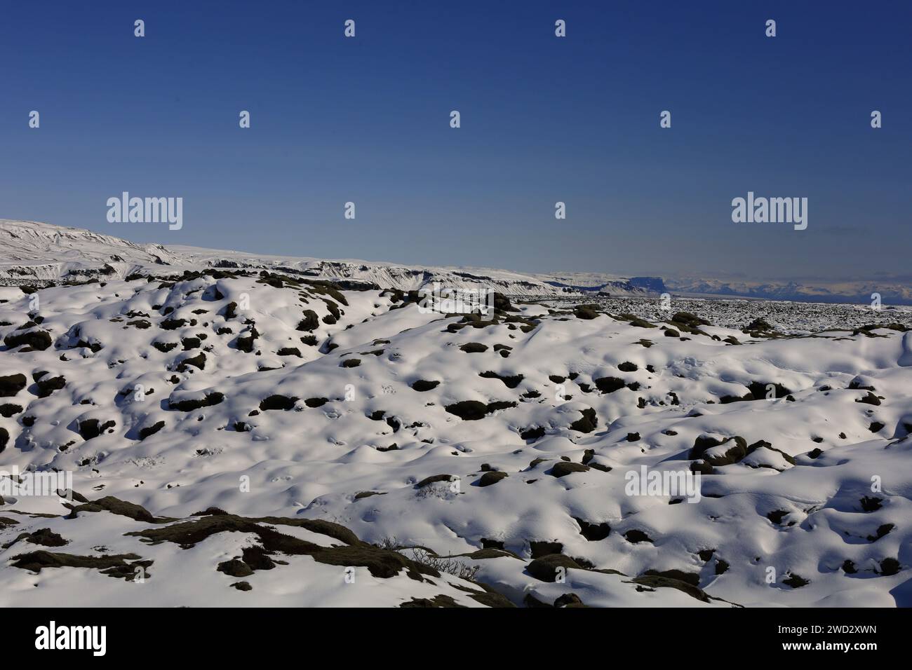 Der Eldhraun ist ein Lavastrom, der während des Ausbruchs der Laki im Jahr 1783 im Süden Islands entstand Stockfoto