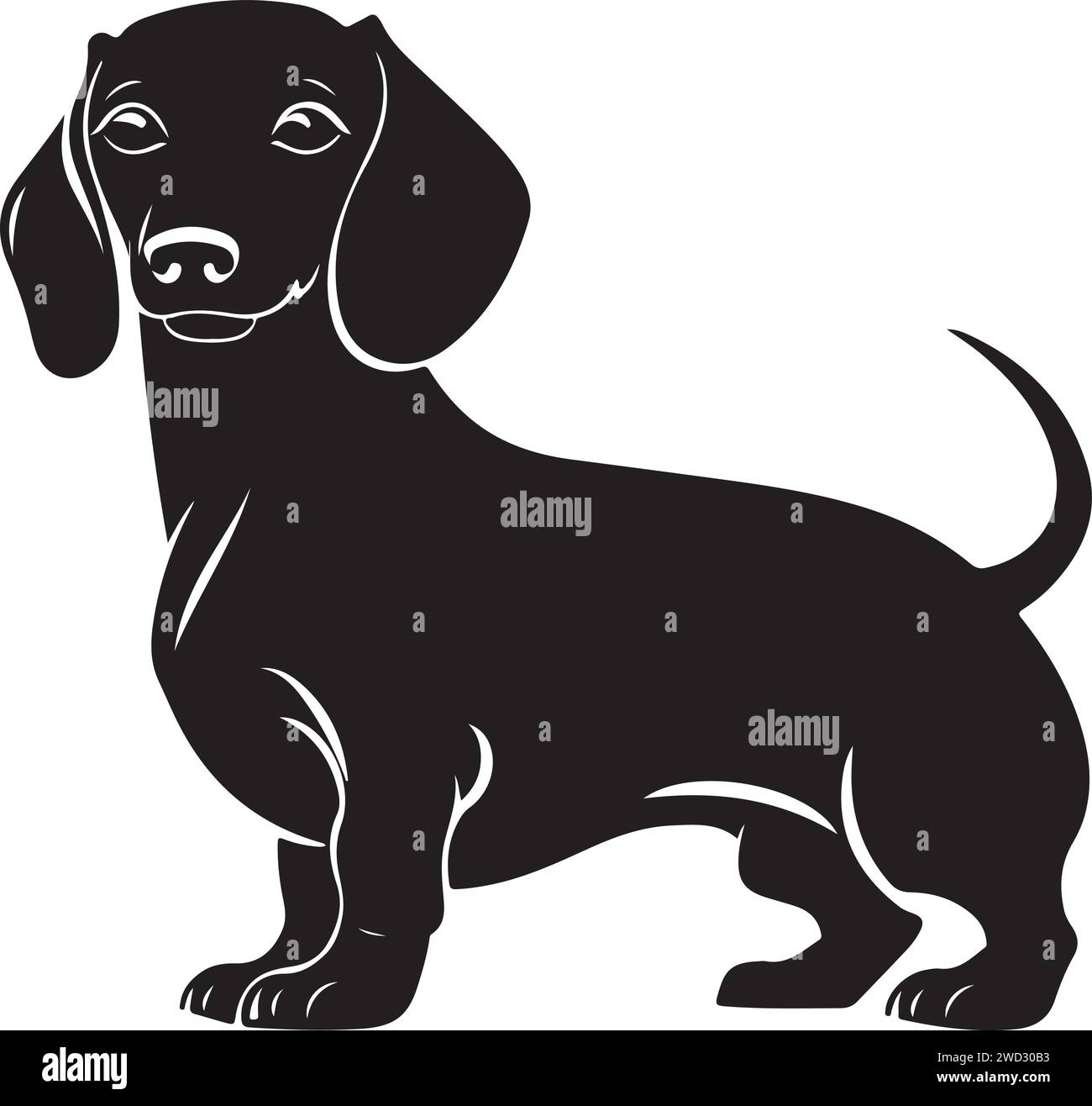 Dackel, solide schwarze Silhouette, Vektor-Illustration. Stock Vektor