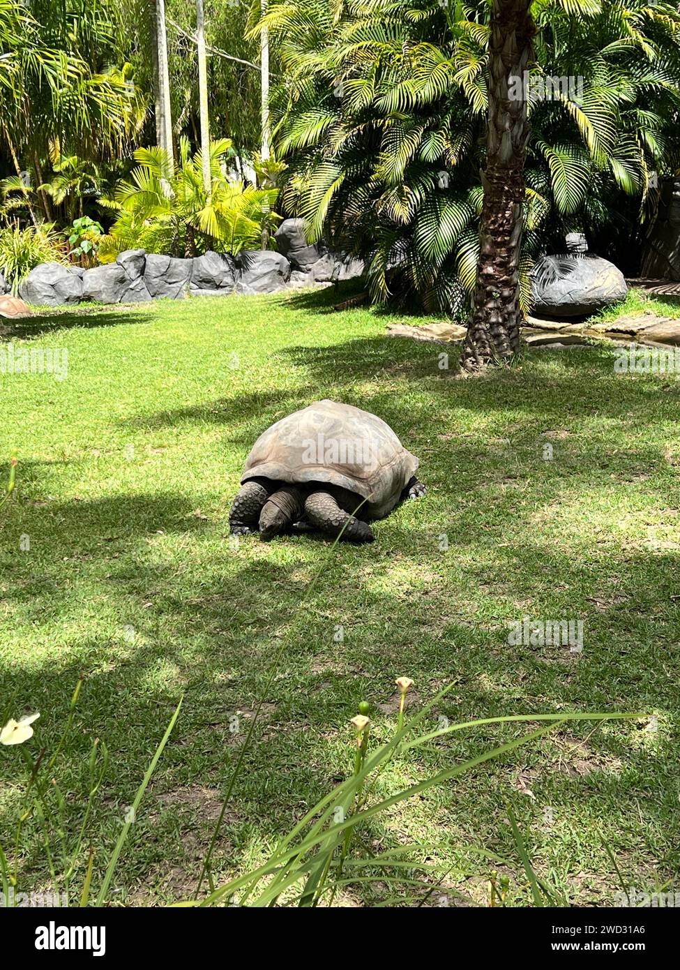 Australien Impressionen Stockfoto