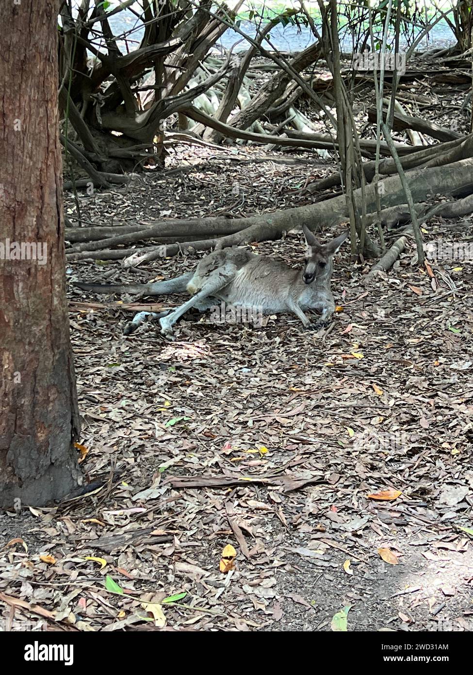 Australien Impressionen Stockfoto