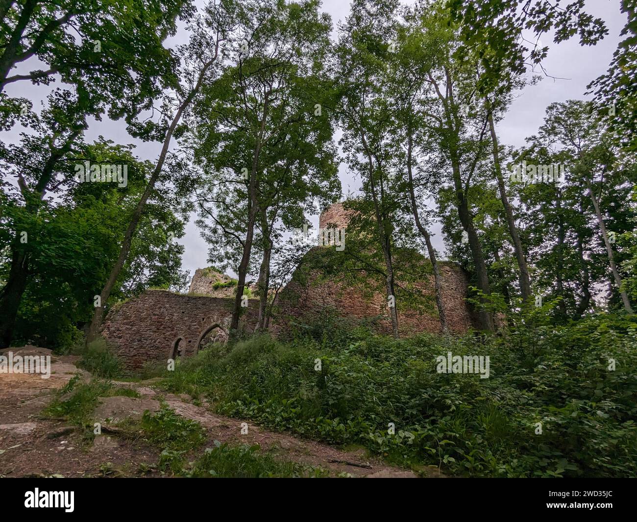 Valdek, Tschechische republik - 23. Juli 2023?Valdek mittelalterliche historische tschechische Burgruine mit Burgturm in den tiefen Wäldern Stockfoto