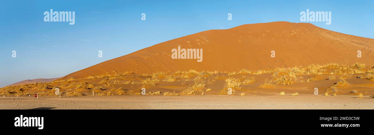 Landschaft mit großer roter Sanddüne in der Wüste Naukluft, aufgenommen im hellen Licht des späten Frühlings in der Nähe von Sesriem, Namibia, Afrika Stockfoto