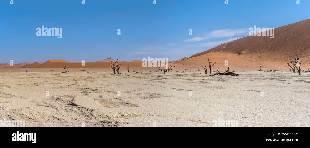 Touristen und trockene Bäume in der Pfanne zwischen roten Dünen ...