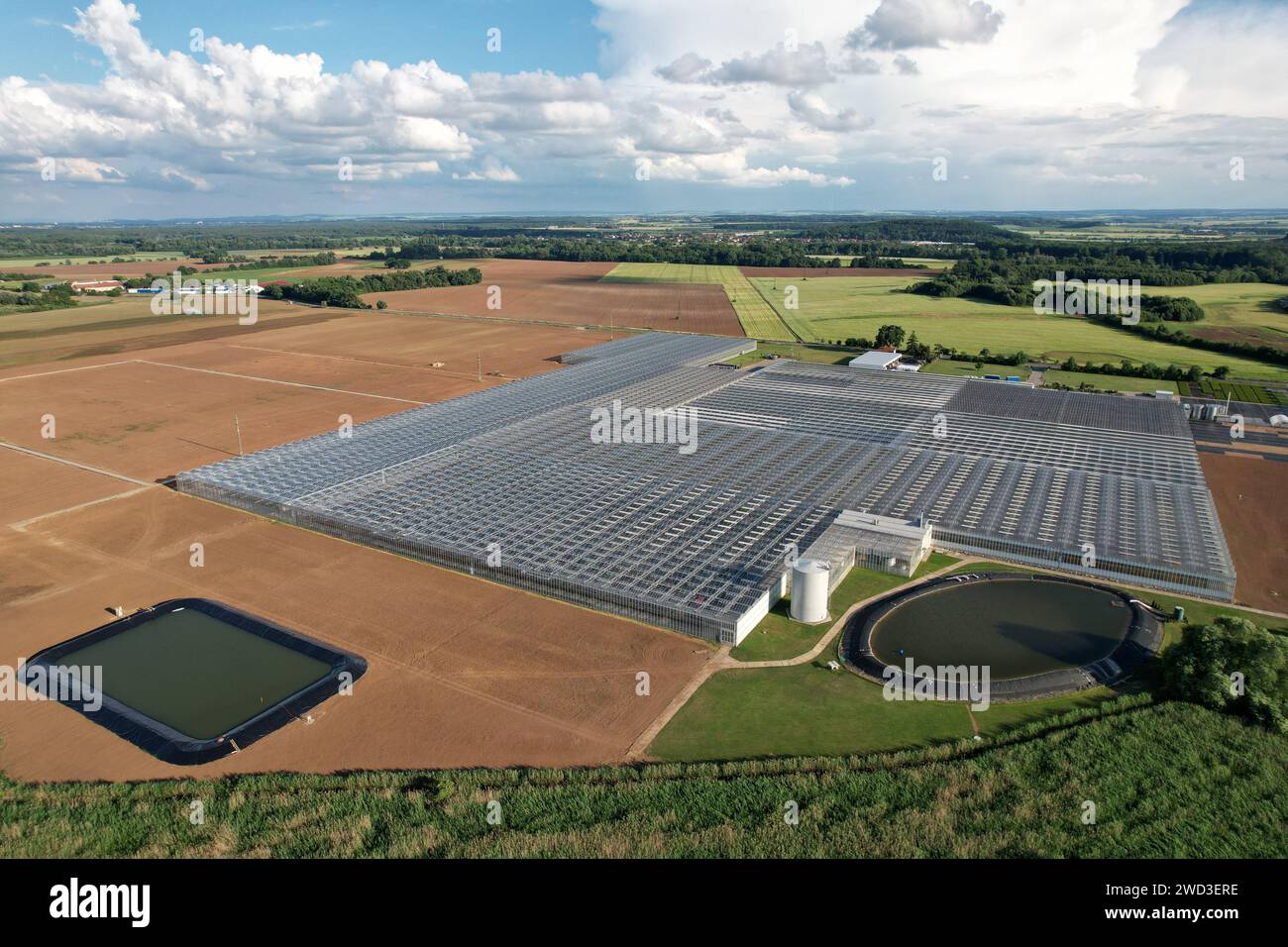 Gläserne Gewächshäuser von oben bei sonnigem Wetter, große Glashäuser mit Panoramablick auf die Landschaft, intensive moderne Landwirtschaft in Europa Stockfoto
