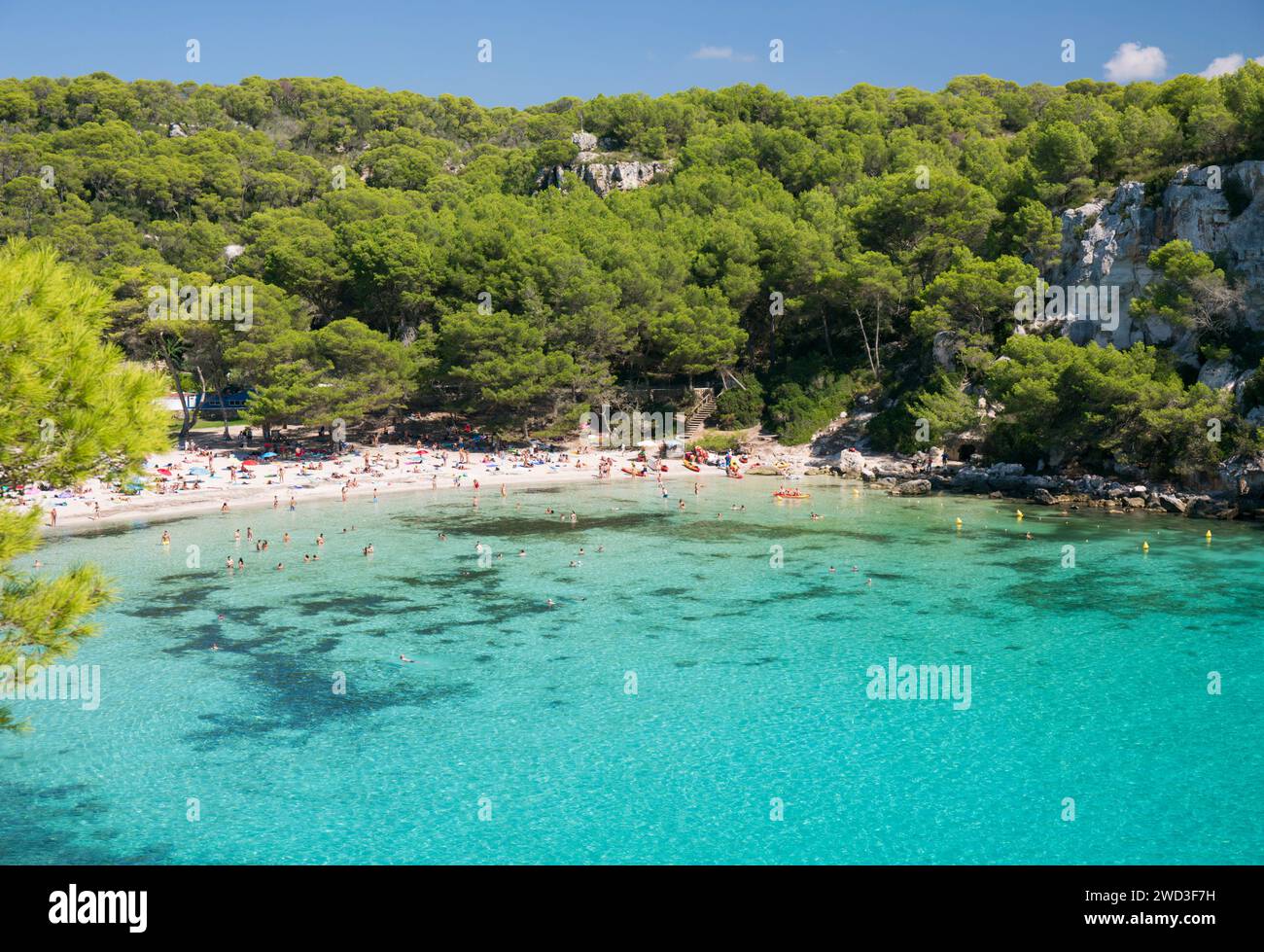 Cala Galdana, Menorca, Balearen, Spanien. Blick über das türkisfarbene Wasser von Cala Macarella bis zum Kiefernstrand. Stockfoto