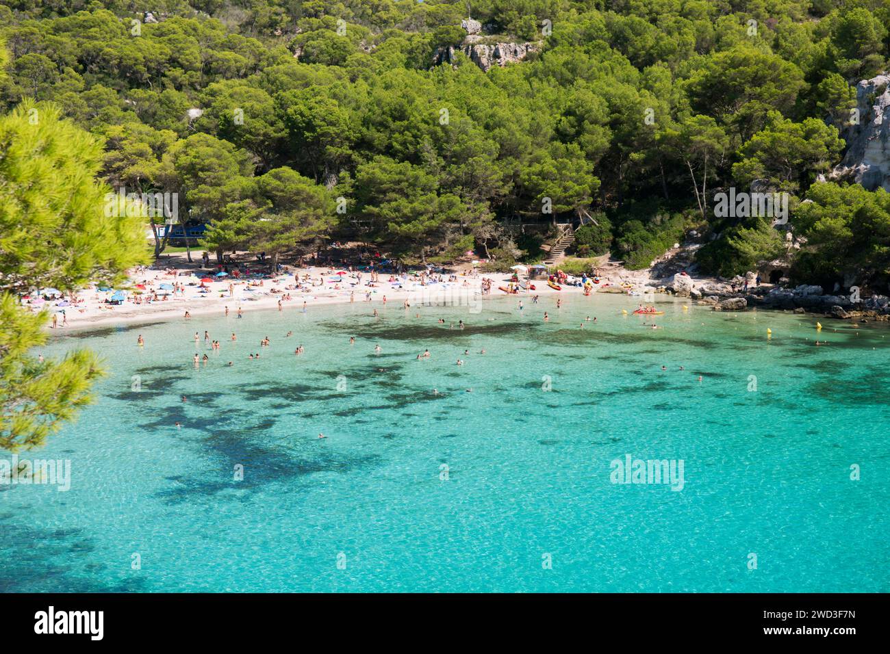 Cala Galdana, Menorca, Balearen, Spanien. Blick über das türkisfarbene Wasser von Cala Macarella bis zum Kiefernstrand. Stockfoto