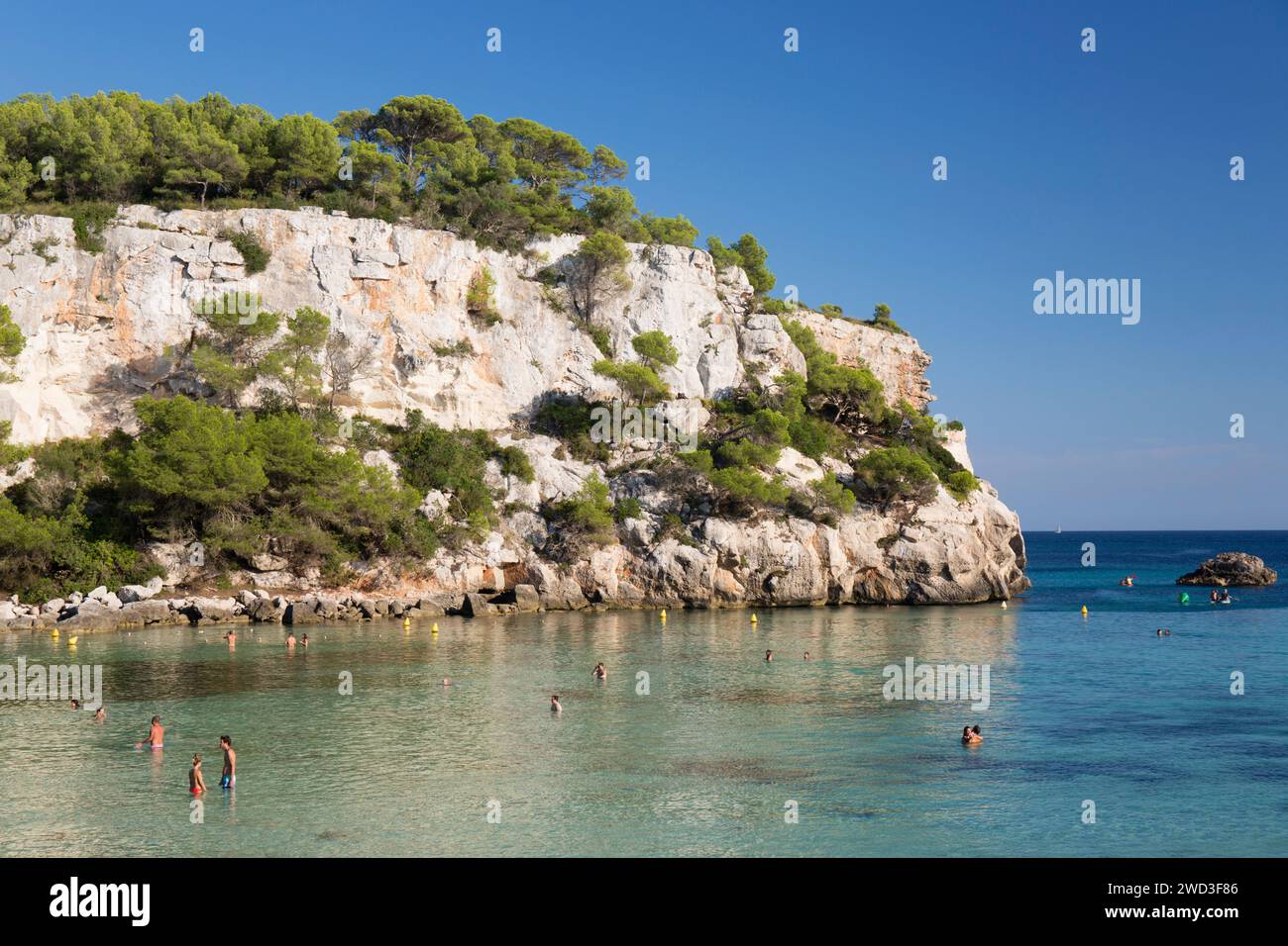 Cala Galdana, Menorca, Balearen, Spanien. Blick über das türkisfarbene Wasser von Cala Macarella zu Kiefern bewachsenen Kalksteinklippen. Stockfoto