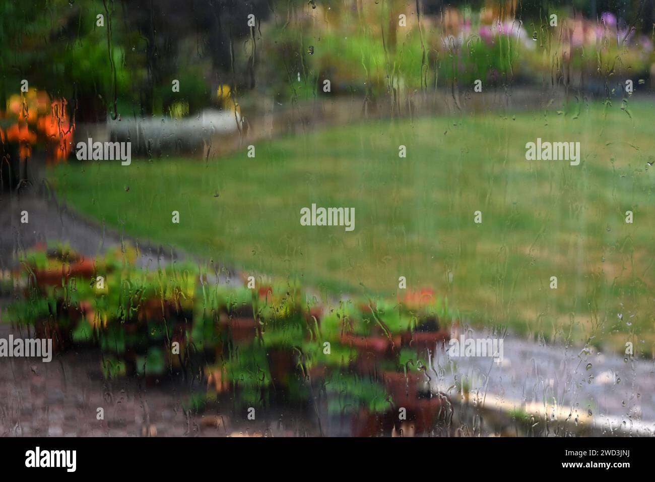 Blick auf den Garten durch Regen am Fenster Stockfoto