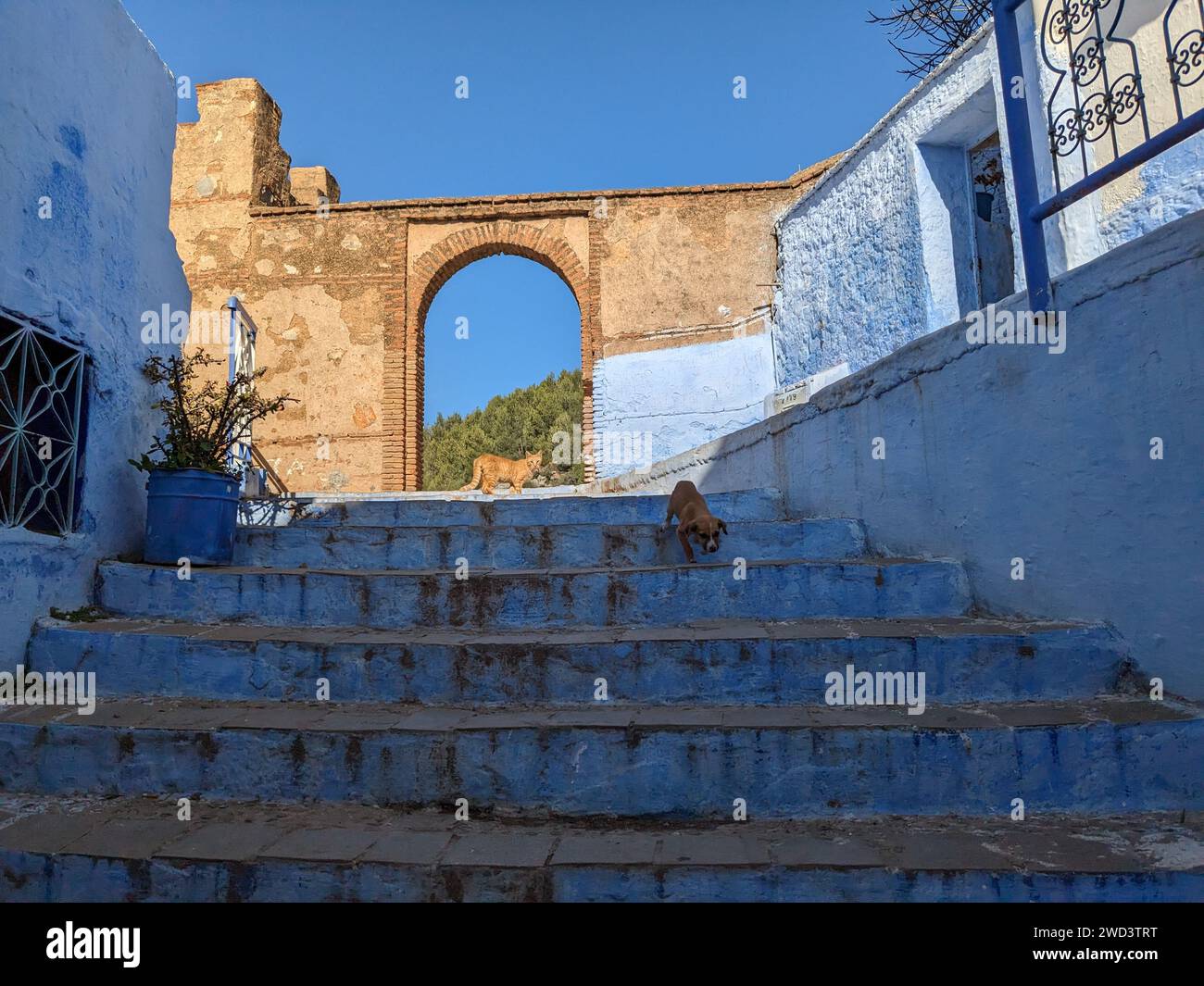 Fantastischer Blick auf die Straßen in der blauen Stadt Chefchaouen. Lage: Chefchaouen, Marokko, Afrika. Künstlerisches Bild. Auch Blaue Perle genannt Stockfoto