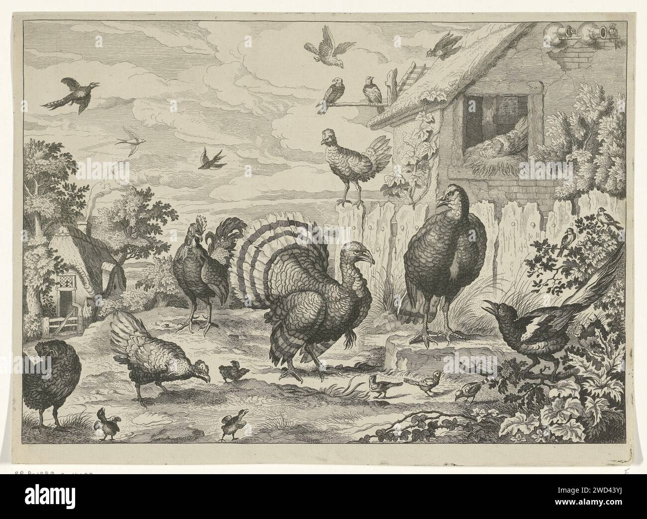 Unterschiedliches Geflügel und ein truthahn, Jan Clerk (I), nach Francis Barlow, 1655 - 1718 drucken unterschiedliches Geflügel auf einem Bauernhof und einem Taubenritt. Im Vordergrund sind ein truthahn, eine Reihe von Hühnern, ein Hahn und anderes Geflügel abgebildet. Papierätzung / Gravur Walker und Läufer Vögel. Vögel Stockfoto