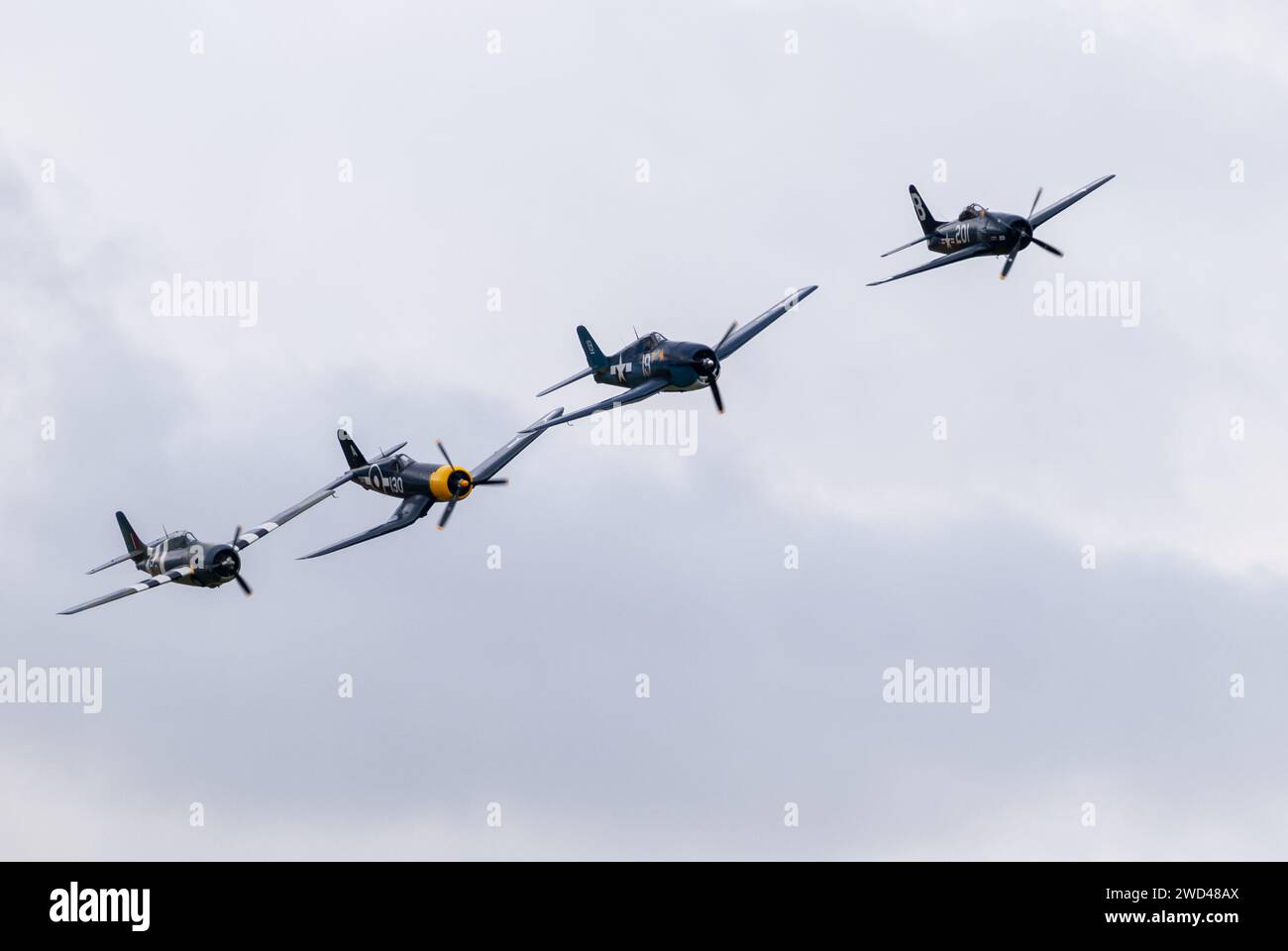 Amerikanische Kampfflugzeuge aus dem 2. Weltkrieg fliegen in enger Formation am Himmel. F4U Corsair, F8F Wildcat, F4F u. a. Stockfoto