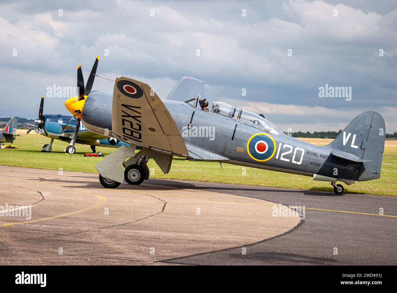 Sea Fury T.20 G-RNHF (VX281) Navy-Flugzeug mit Klappflügeln. Stockfoto