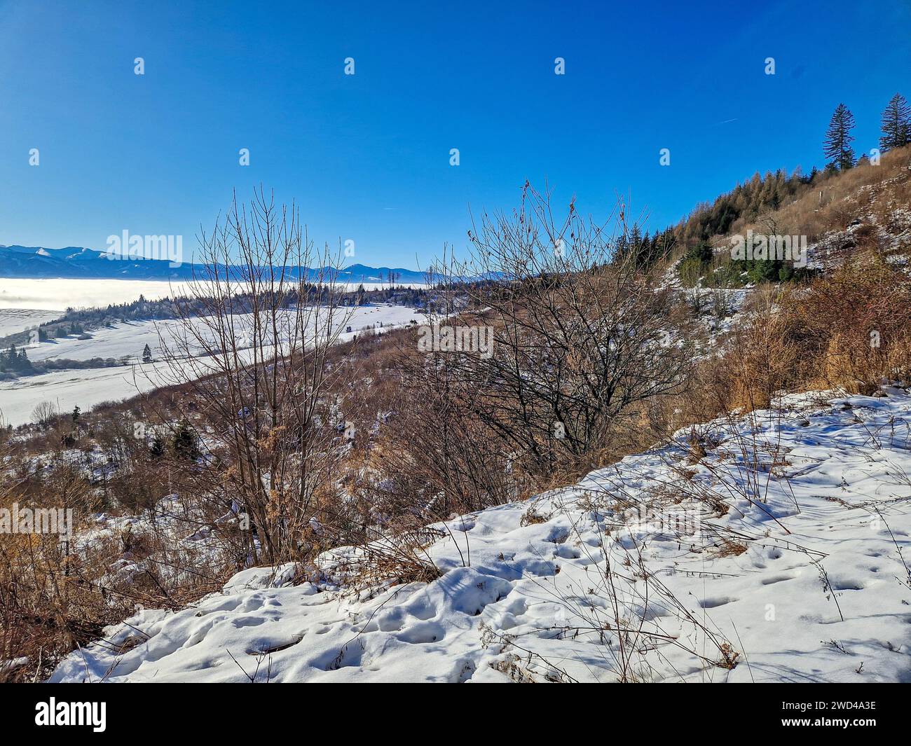 Winter in der Slowakischen Tatra voller Schnee. Stockfoto