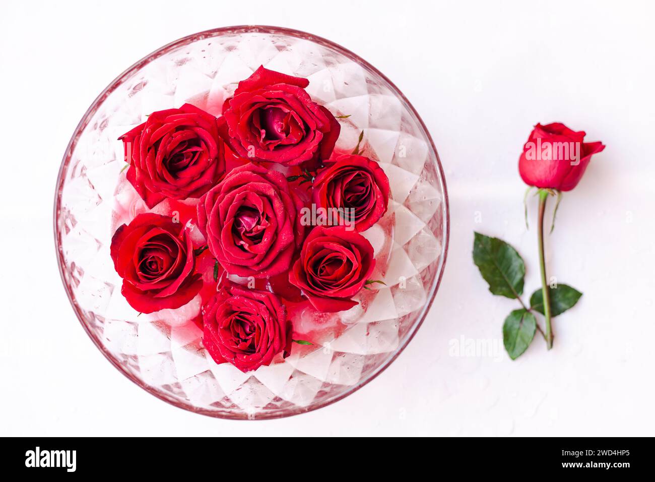 Rote Rosen auf Eis in einer Schüssel, mit zwei Blütenblättern im Vordergrund Stockfoto