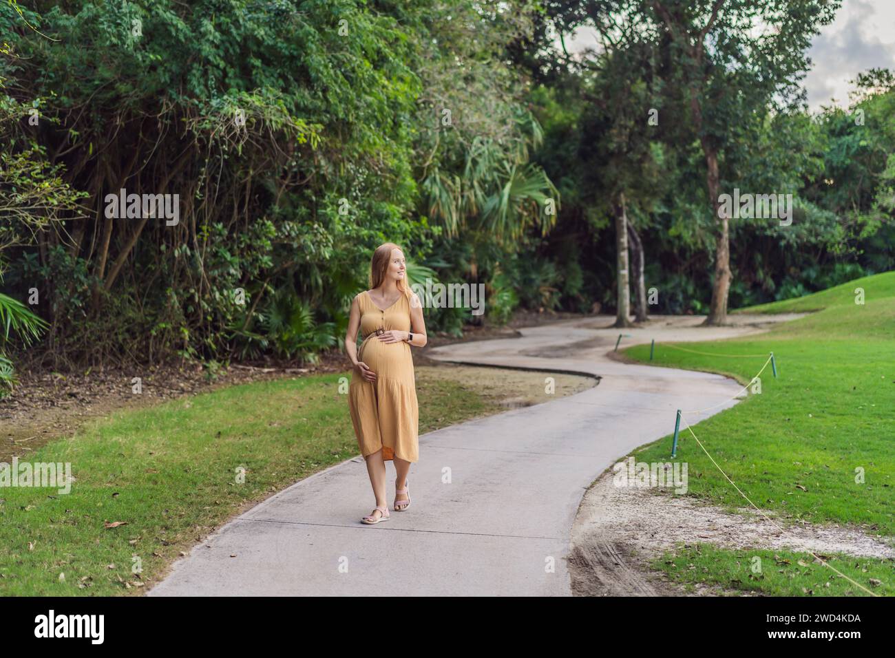 Ruhige Szene, in der eine schwangere Frau friedliche Momente im Park genießt, die Ruhe der Natur genießt und während ihrer Schwangerschaft Trost findet Stockfoto