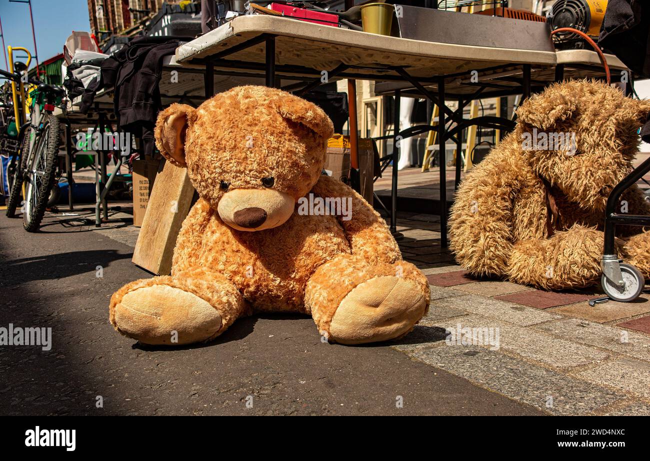 Riesige Teddybären zum Verkauf auf dem Barras Market in Glasgow, Schottland. Stockfoto