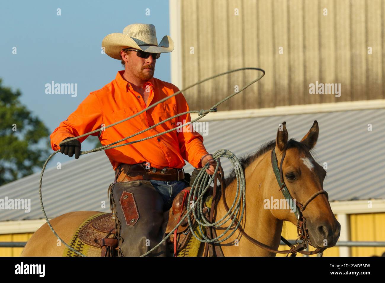 Cowboy auf Pferd und schwingendes Lasso. Kleinstadt wöchentlich Bullenreiten als Sport. Fox Hollow Rodeo. Waynesville, Dayton, Ohio, USA. Stockfoto