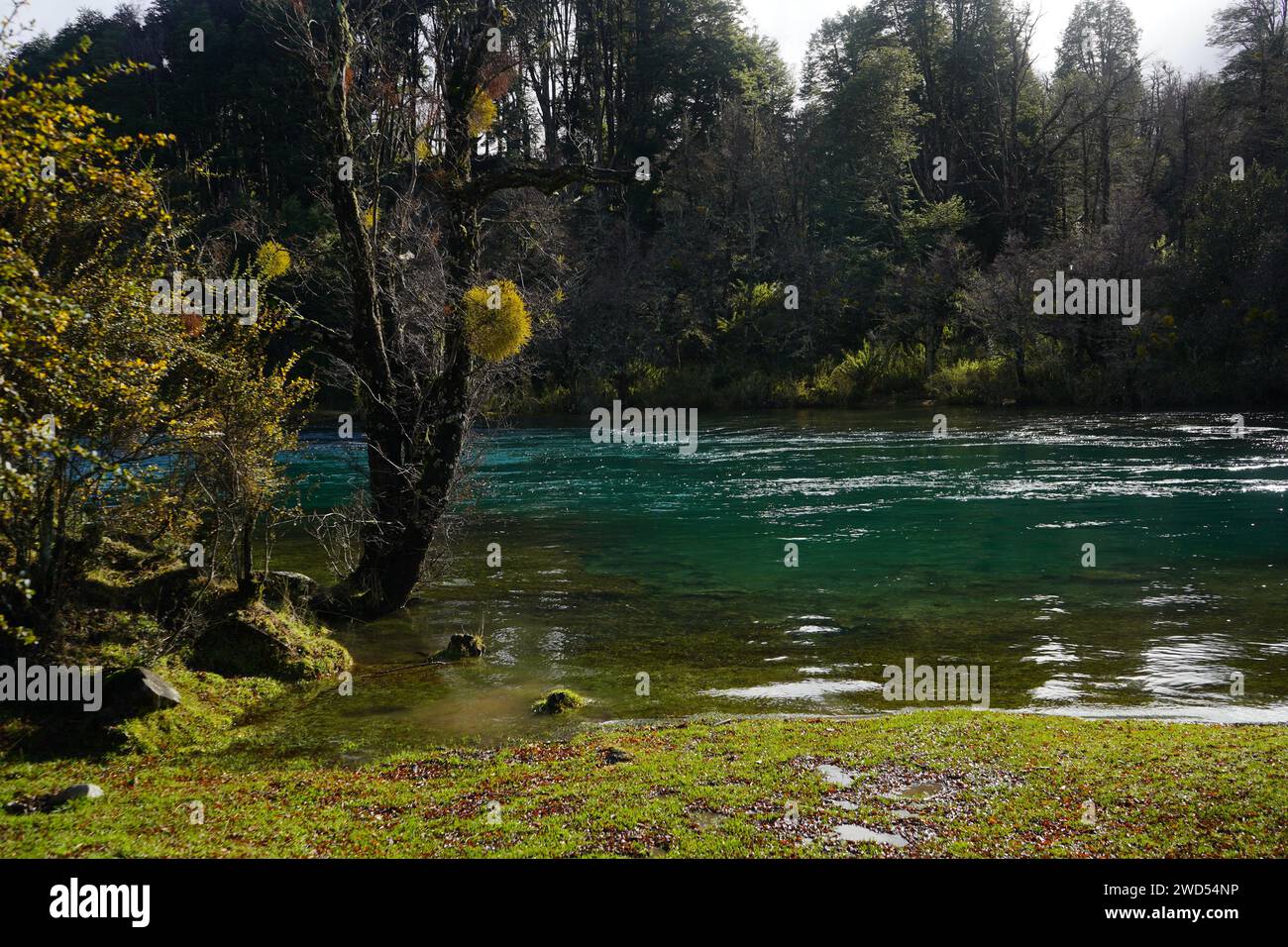 San Martin de los Andes, en la provincia de Neuquén, Argentinien. Stockfoto