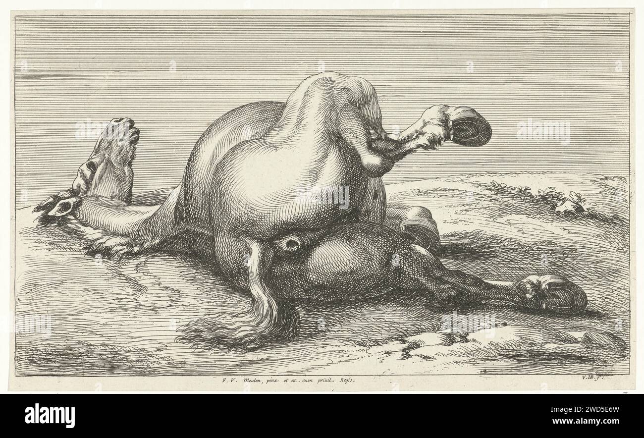 Getötetes Pferd, Jan van Huchtenburg, nach Adam Frans van der Meulen, 1674–1733 Druck Pferd auf der linken Seite von hinten gesehen. Unbekanntes Papierstich Pferd (+ sterbendes Tier; Tod eines Tieres; totes Tier) Stockfoto