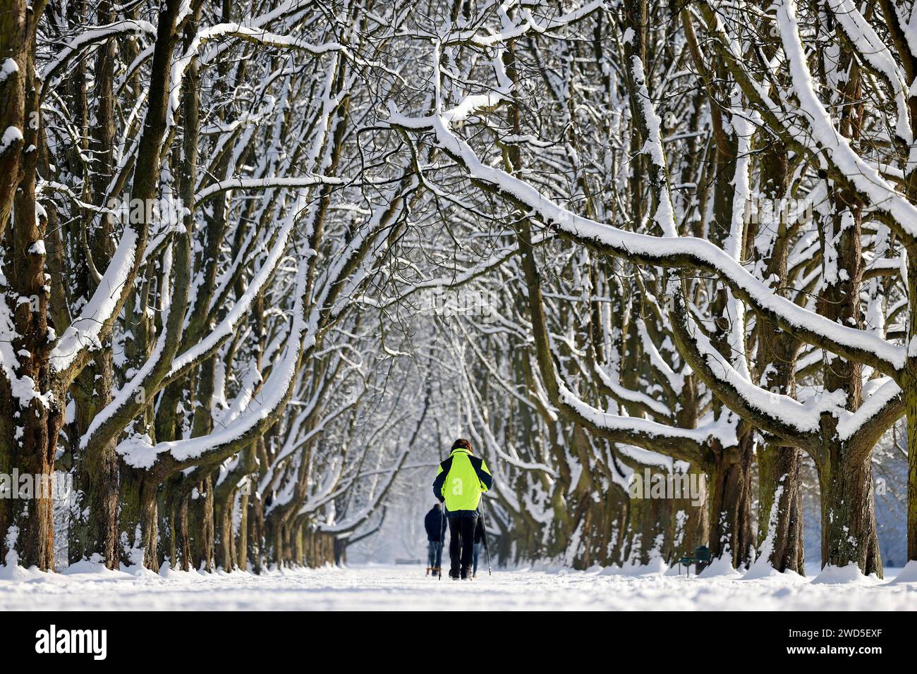 Bleibt Schnee Bei 1 Grad Liegen Nach einer Nacht mit Schneefall sind Bäume, Wege und Straßen im Kölner