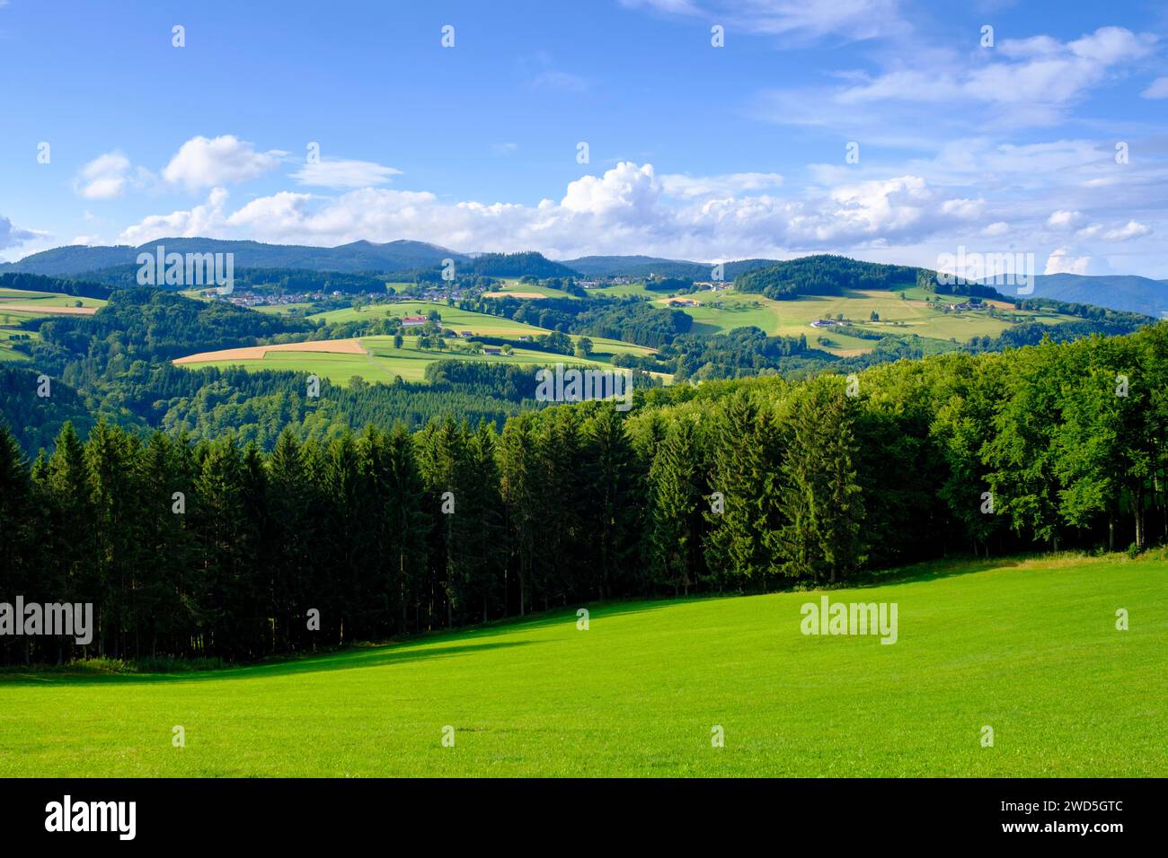 Landschaft im Yspertal, Waldviertel, Niederösterreich, Österreich Stockfoto