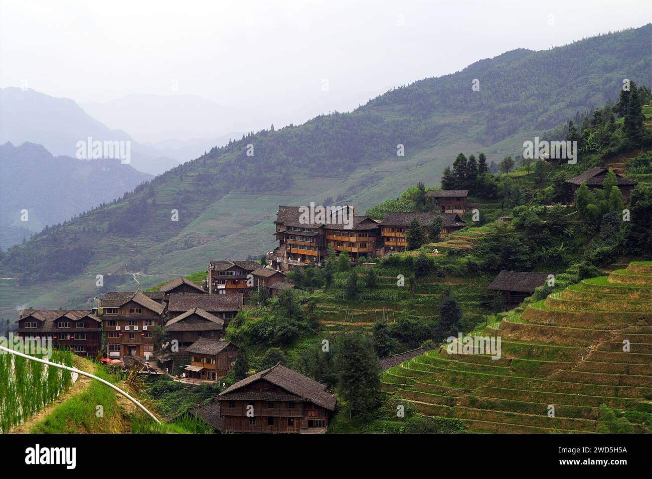 龙胜镇 (龙胜县) 中國 Longsheng Reisterrassen, Dazhai Longji Ping'an Zhuang, China; Chinesisches Dorf in den Bergen Stockfoto