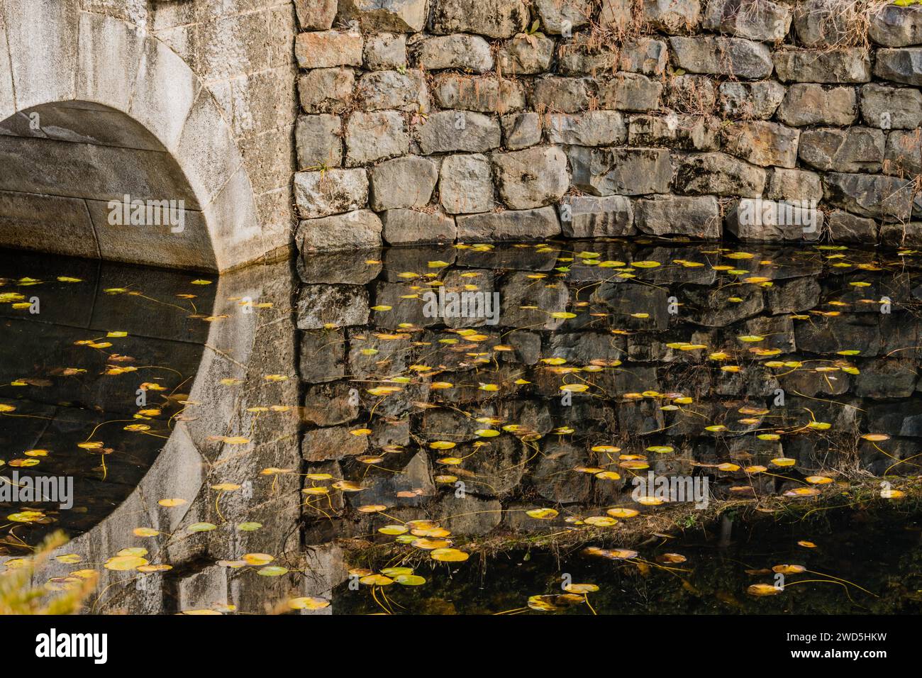 Nahaufnahme des Bogens in Betonbrücke und seine Reflexion im Teich im öffentlichen Park am Herbstnachmittag in Südkorea Stockfoto