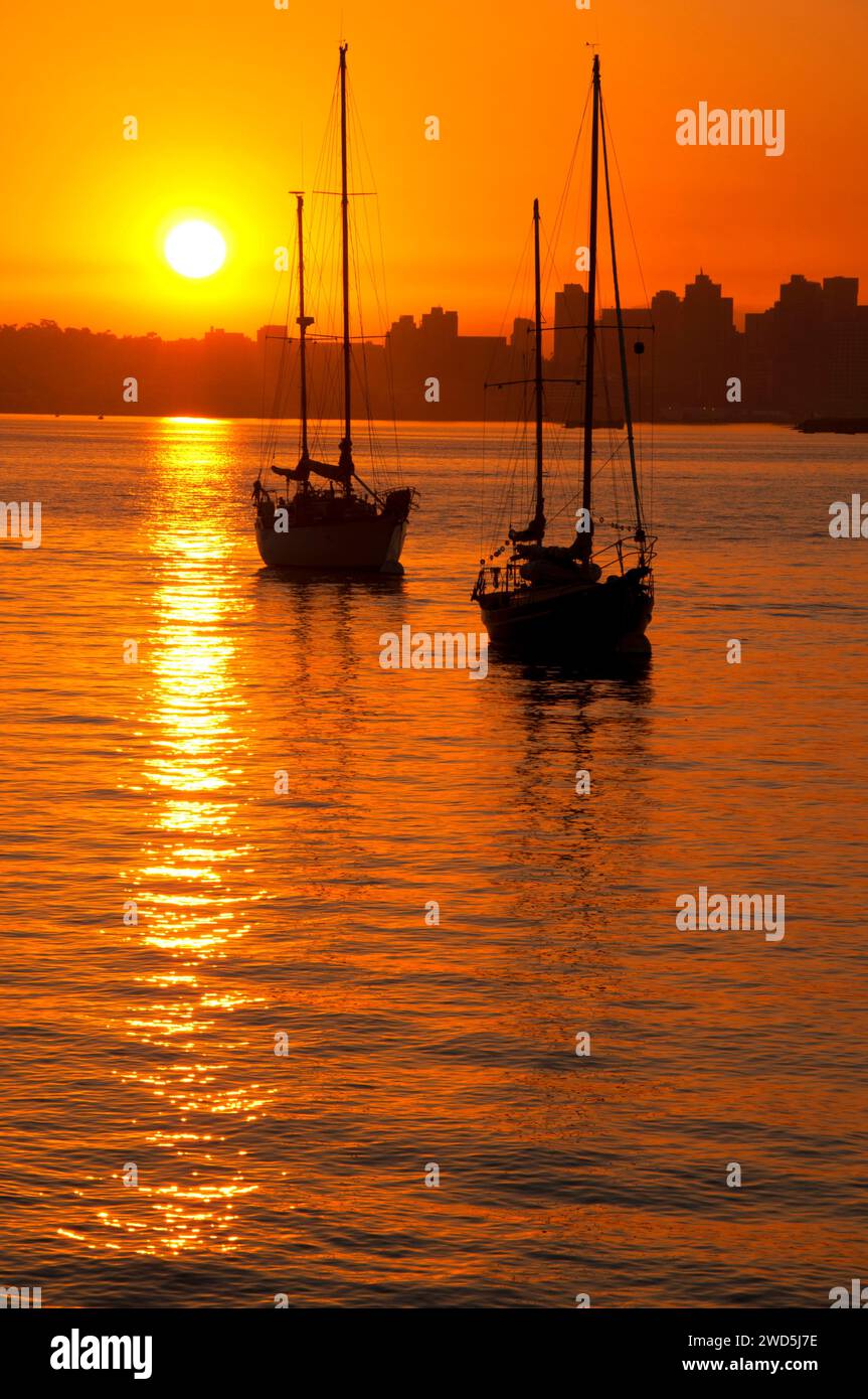 Sonnenaufgang mit Segelbooten in San Diego Bay, Shelter Island, San Diego, Kalifornien Stockfoto