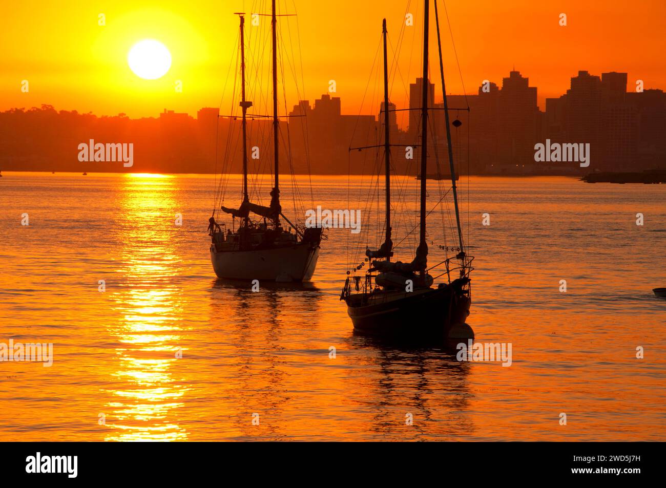 Sonnenaufgang mit Segelbooten in San Diego Bay, Shelter Island, San Diego, Kalifornien Stockfoto