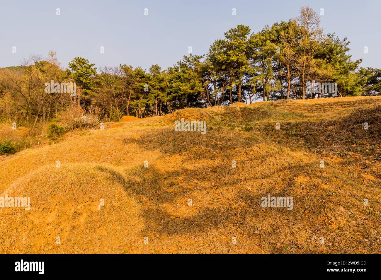 Unmarkierte Grabhügel auf einem kleinen Friedhof, der am frühen Frühlingsabend in Sonnenlicht und Schatten getaucht ist, Südkorea Stockfoto