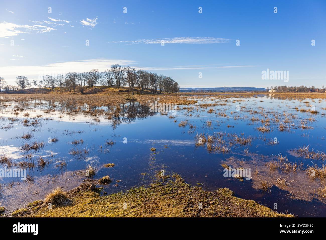 Blick auf eine überflutete Wiesenlandschaft ein sonniger Frühlingstag, Hornborgasjoen, Schweden Stockfoto